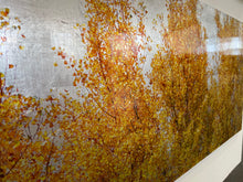 Lade das Bild in den Galerie-Viewer, Pappeln
