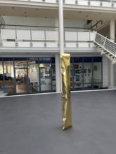 Laden und Abspielen von Videos im Galerie-Viewer, Blow up
